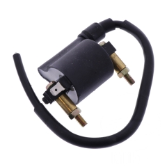 Ignition Coil (universal)