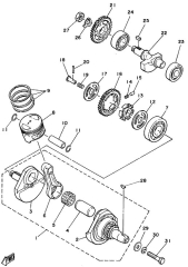 Lock Plate Crankshaft and Balancer