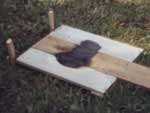 Bild 18