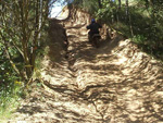 Bild 17