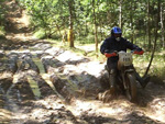 Bild 19