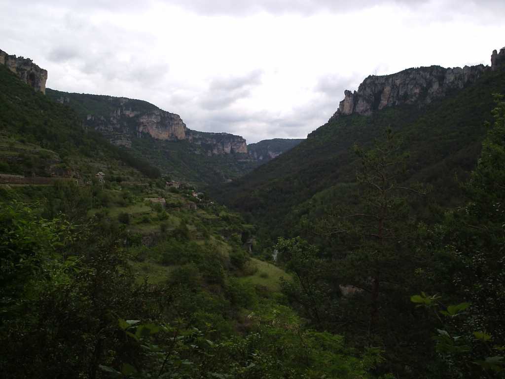 080.jpg