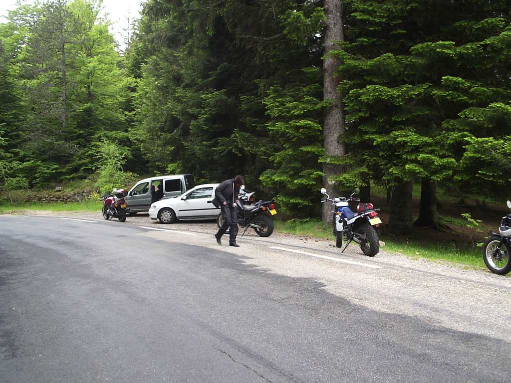 238.jpg