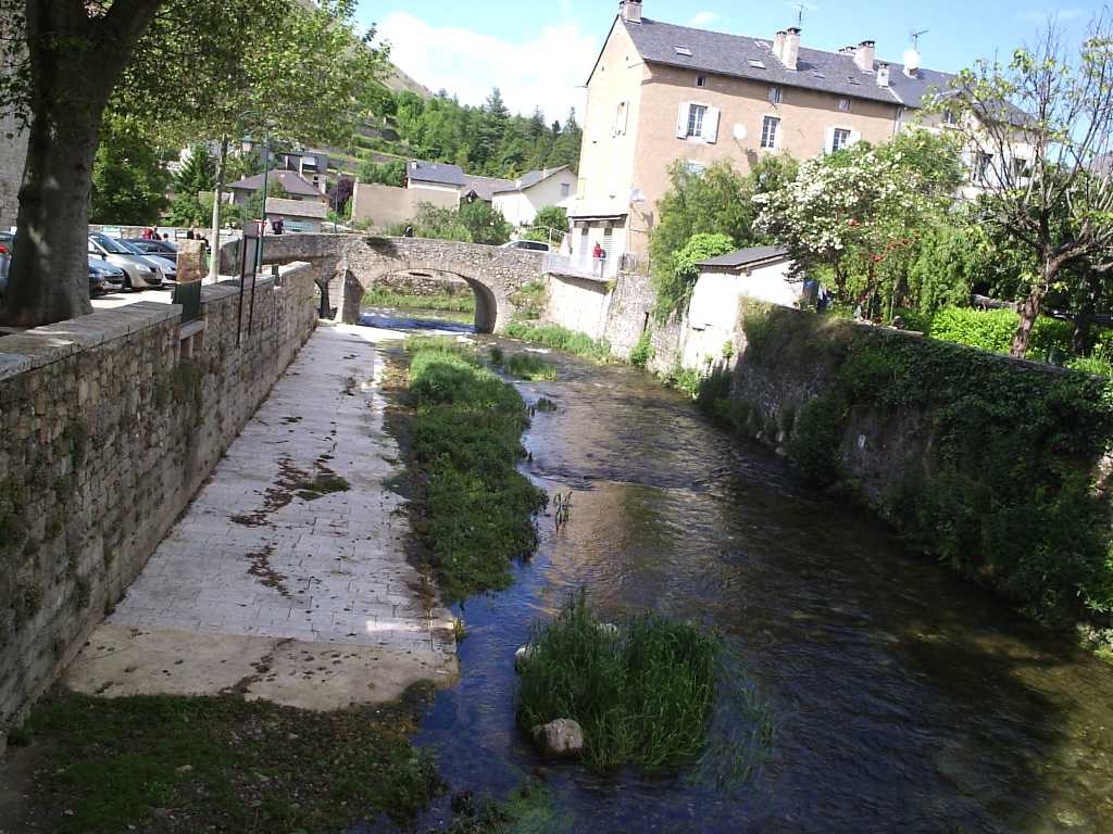 248.jpg