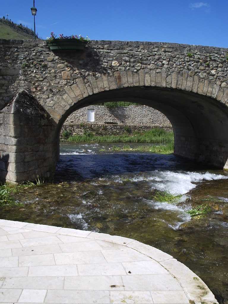 249.jpg