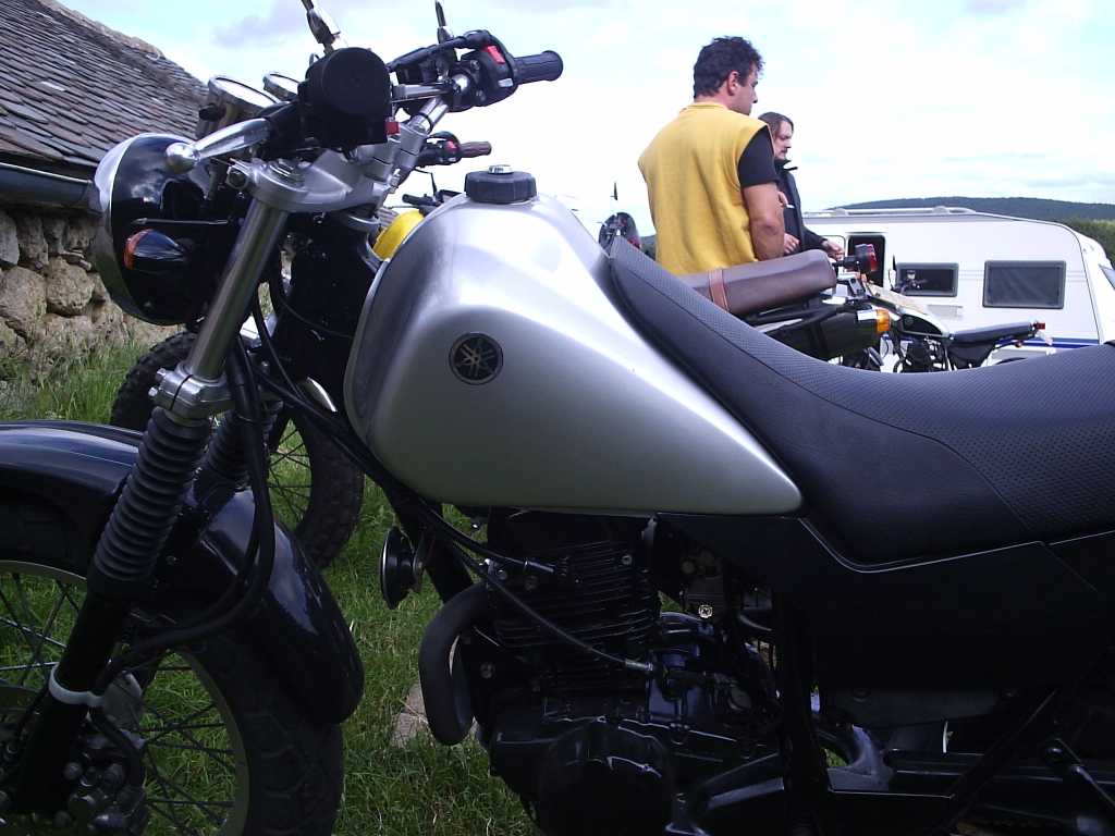 255.jpg