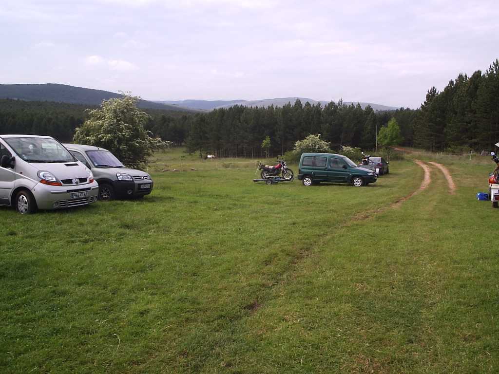 337.jpg